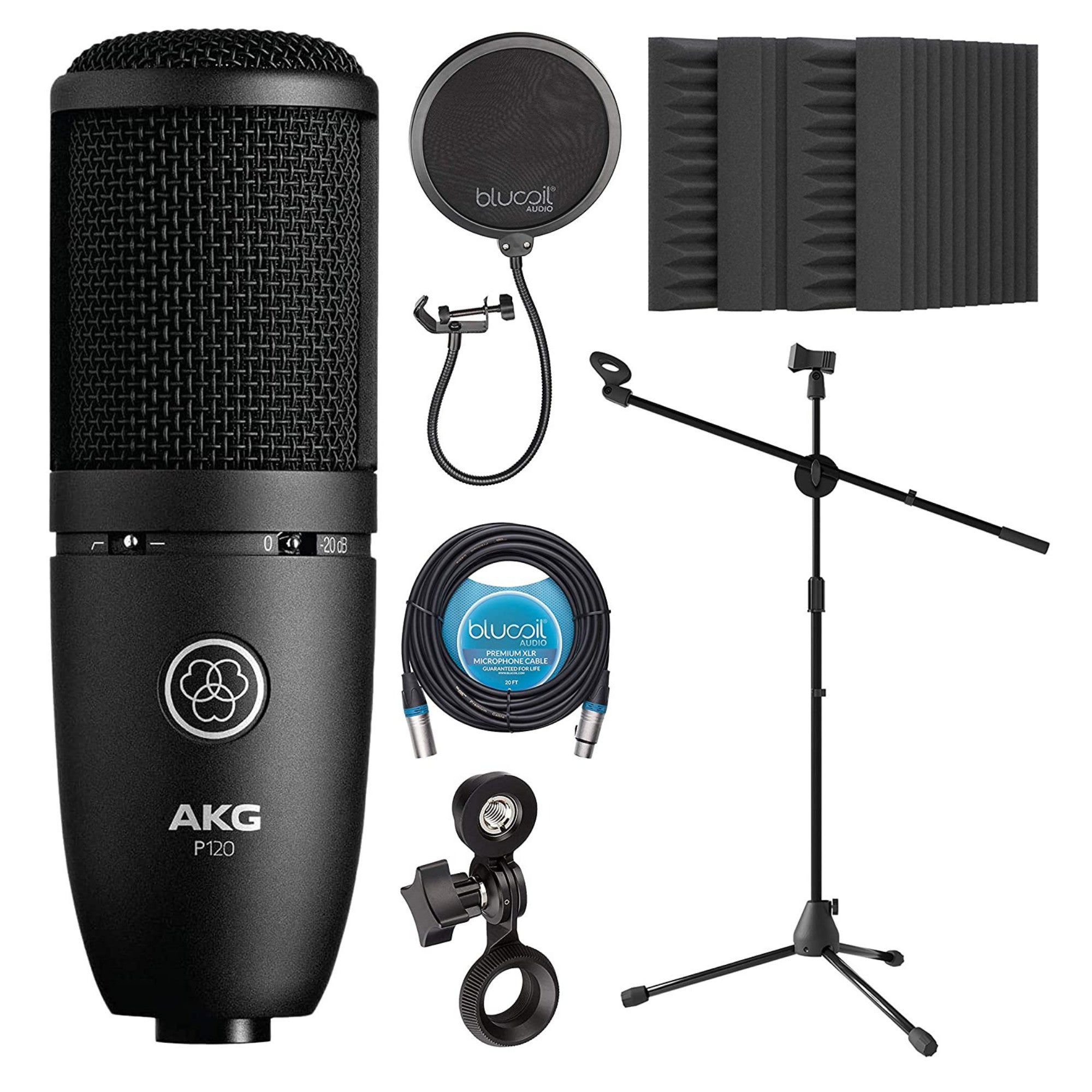 AKG, AKG P120 - High-Performance Recording Microphone