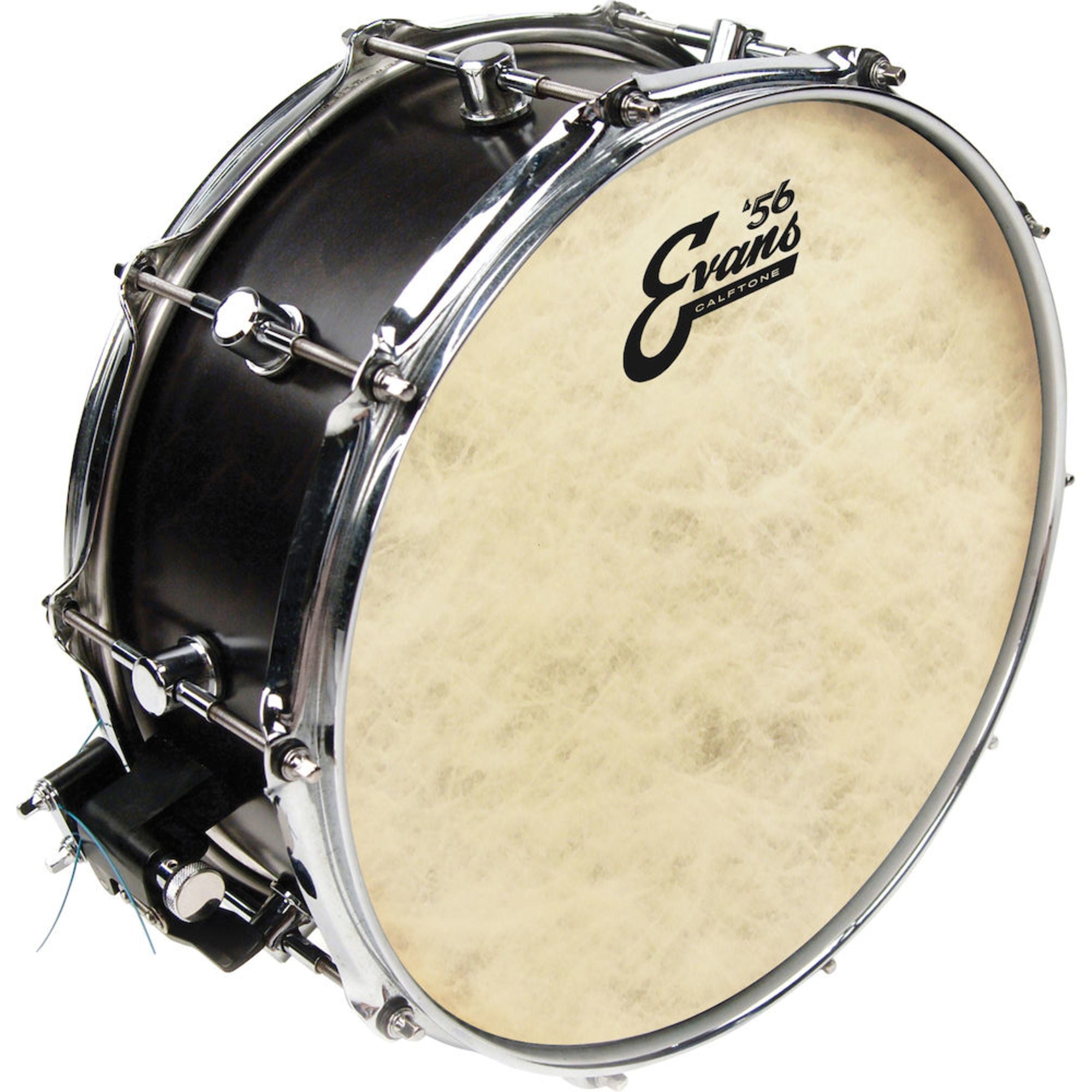 Evans, Evans Calftone Tom Batter Drumhead, 14"